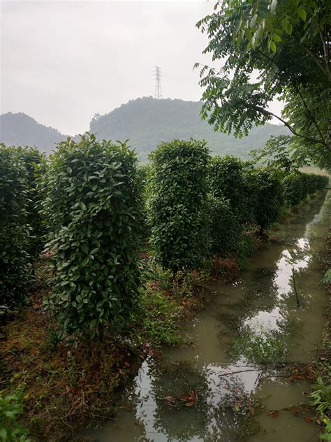 水木相生|水生木